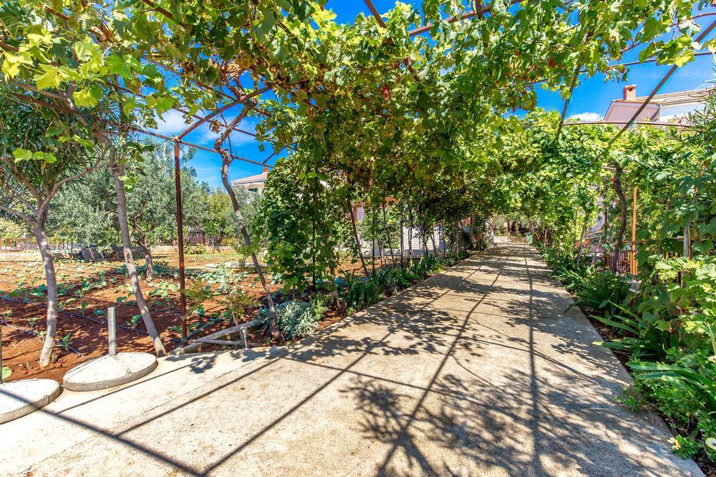 Apartments Ivan Lun  Dış mekan fotoğraf